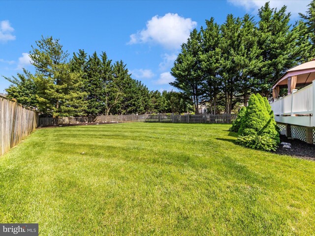 6810 Morrow Way, Frederick, MD 21703 - view of yard