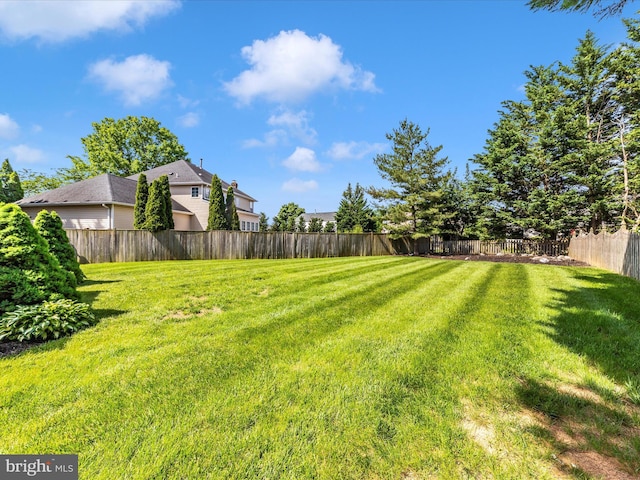 6810 Morrow Way, Frederick, MD 21703 - view of yard