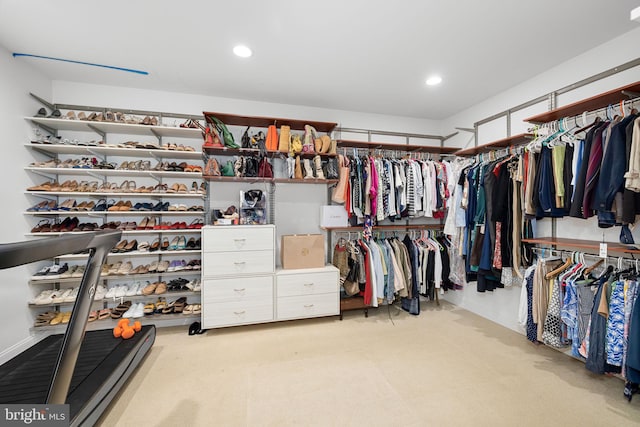 777 3rd St, Herndon, VA 20170 - spacious closet featuring carpet floors