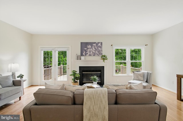 6201 Knolls Ct, Elkridge, MD 21075 - living area featuring healthy amount of natural light, a glass covered fireplace, light wood-style floors, and baseboards