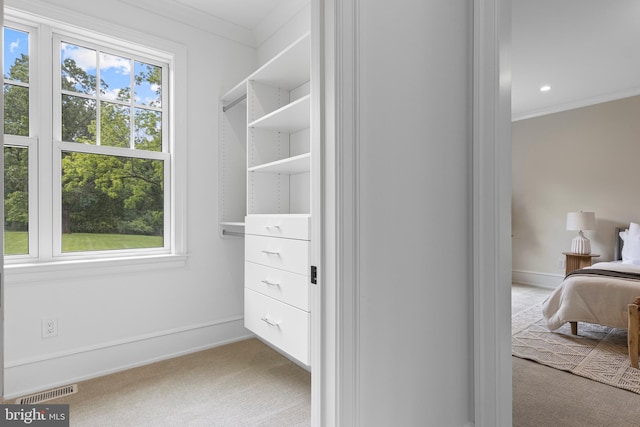 3718 Gradyville Rd, Newtown Square, PA 19073 - walk in closet with carpet