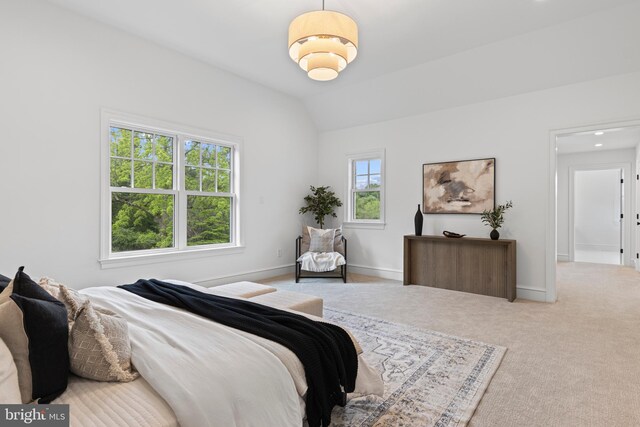 3718 Gradyville Rd, Newtown Square, PA 19073 - carpeted bedroom with baseboards and lofted ceiling