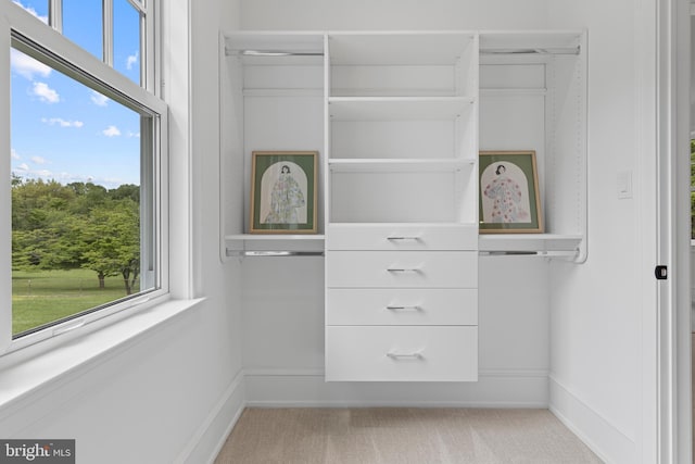 3718 Gradyville Rd, Newtown Square, PA 19073 - view of closet
