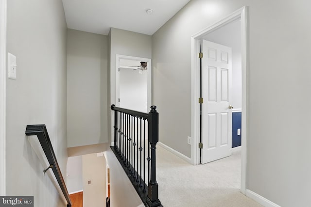 9901 Airedale Ct, Bristow, VA 20136 - hall featuring an upstairs landing, carpet, and baseboards