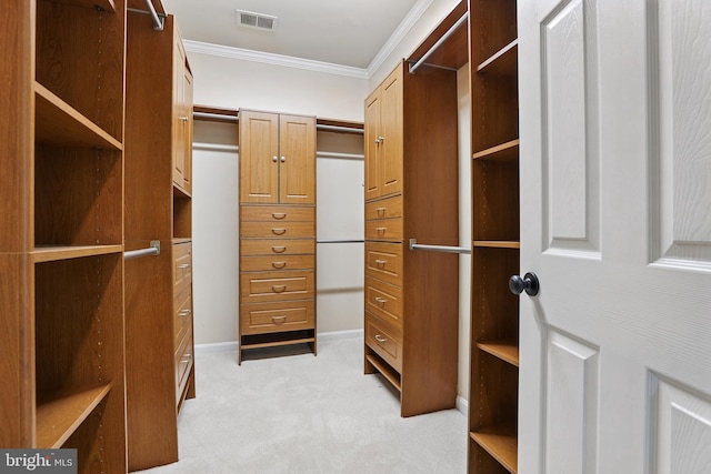 9901 Airedale Ct, Bristow, VA 20136 - walk in closet with light colored carpet