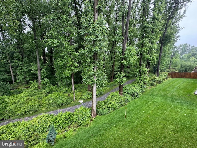 2410 Vineyard Springs Way, Ellicott City, MD 21043 - view of yard