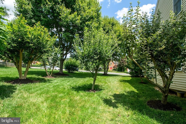 10861 Hunter Gate Way, Reston, VA 20194 - view of grassy yard