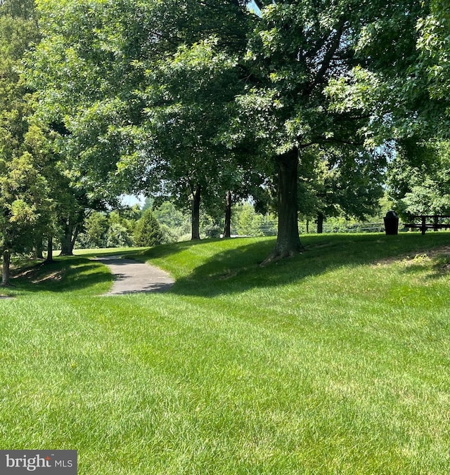 10861 Hunter Gate Way, Reston, VA 20194 - view of grassy yard