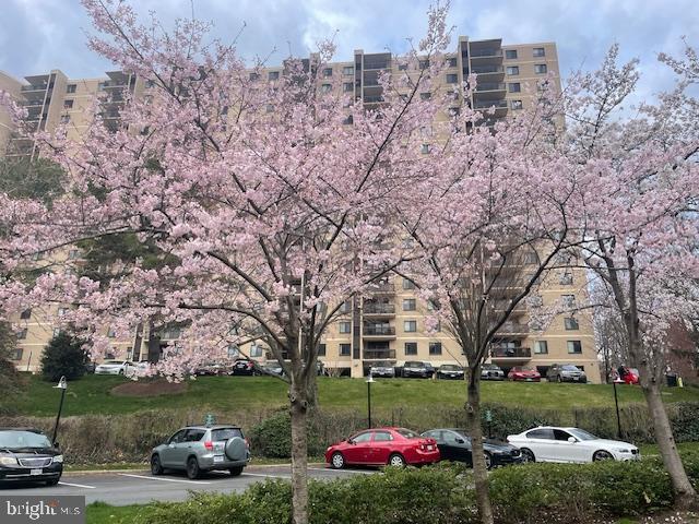 307 Yoakum Pkwy Unit 1801, Alexandria, VA 22304 - view of apartment building / complex with uncovered parking