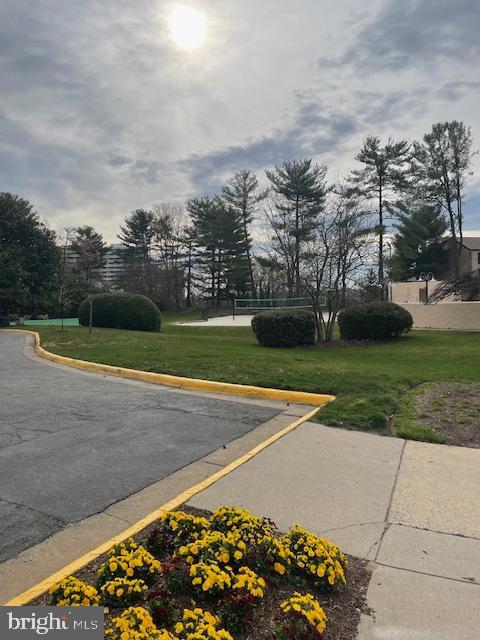 307 Yoakum Pkwy Unit 1801, Alexandria, VA 22304 - view of asphalt street featuring curbs