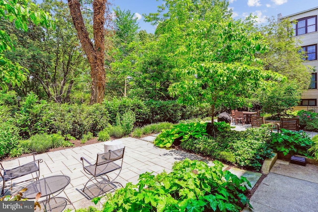 2630 Adams Mill Rd NW Unit 302, Washington, DC 20009 - view of patio / terrace