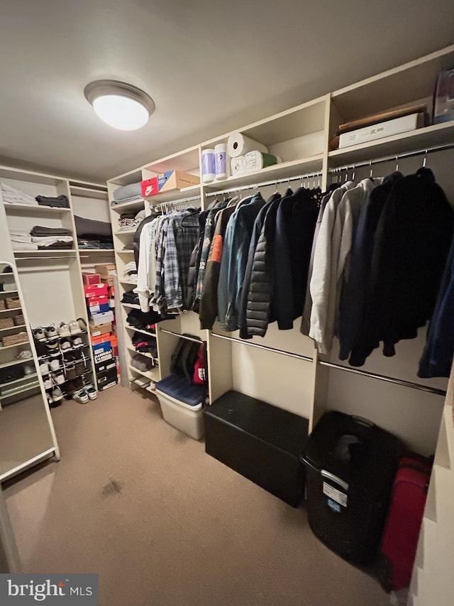 1005 Chillum Rd Unit 415, Hyattsville, MD 20782 - spacious closet featuring carpet