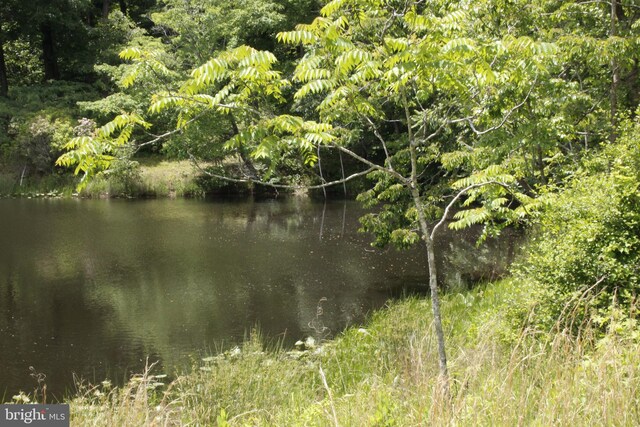 689 Prospect Hill Rd, Montross, VA 22520