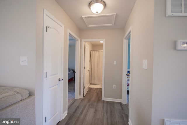 316 Pochards Ct, Martinsburg, WV 25403 - hall with dark wood finished floors, baseboards, and attic access