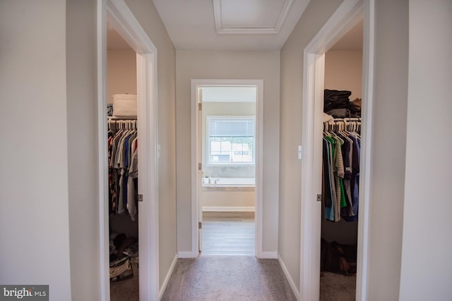 316 Pochards Ct, Martinsburg, WV 25403 - corridor with carpet flooring, baseboards, and attic access