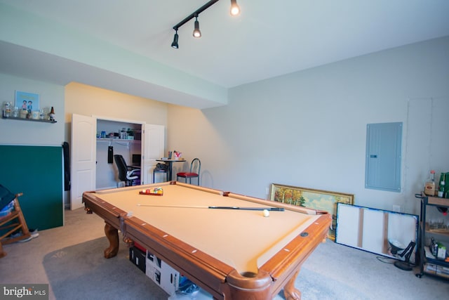 316 Pochards Ct, Martinsburg, WV 25403 - recreation room with electric panel, carpet flooring, pool table, and track lighting