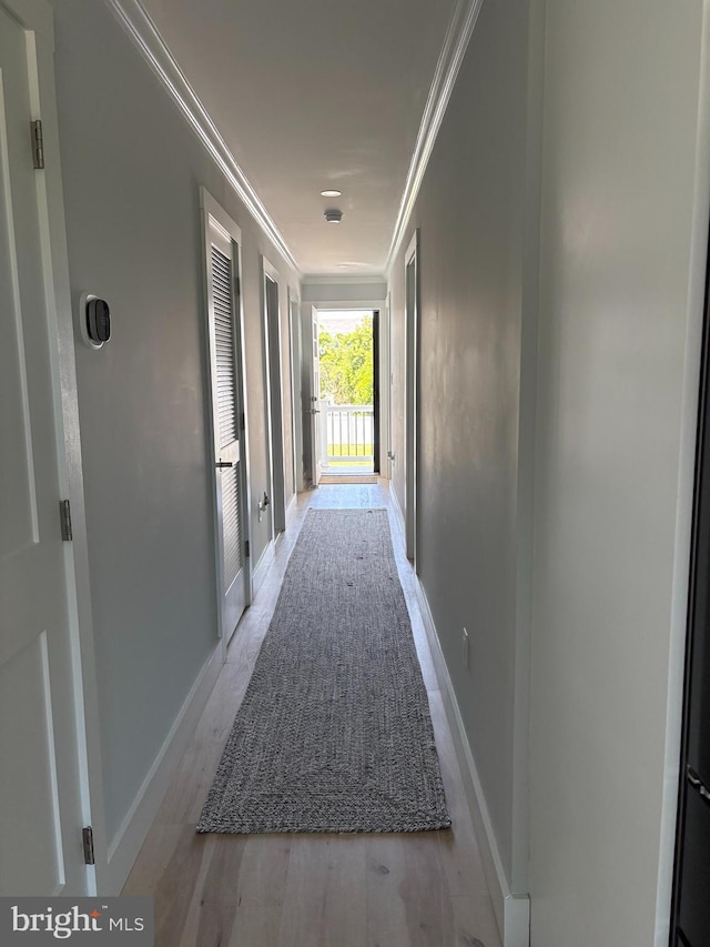 4112 Park Blvd Unit G, Wildwood, NJ 08260 - hall with ornamental molding, baseboards, and wood finished floors