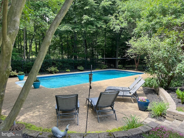 32 Misty Creek Ln, Fredericksburg, VA 22406 - view of swimming pool featuring a patio area