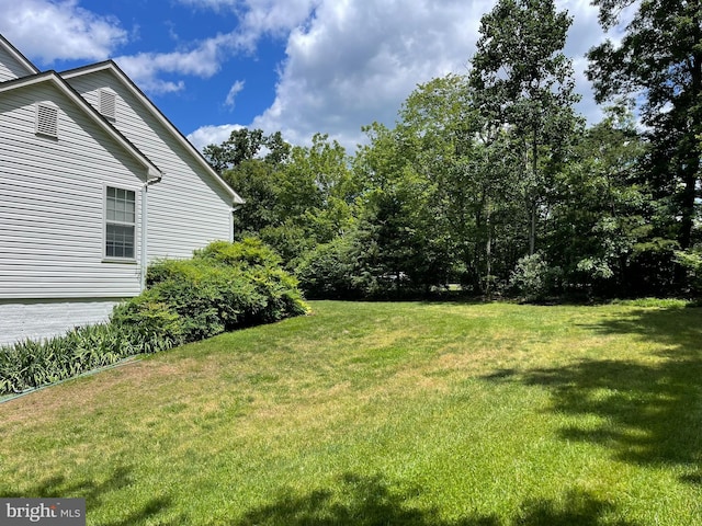 32 Misty Creek Ln, Fredericksburg, VA 22406 - view of grassy yard