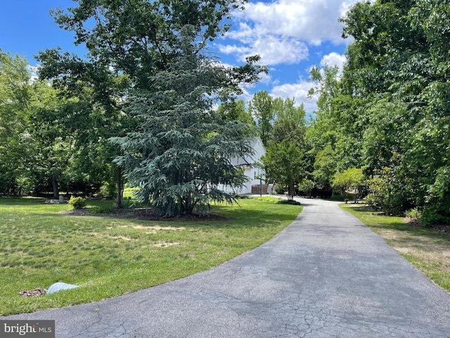 32 Misty Creek Ln, Fredericksburg, VA 22406 - view of asphalt driveway