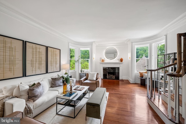 3 Devon Hill Rd Unit D4, Baltimore, MD 21210 - living area with crown molding, healthy amount of natural light, wood finished floors, a high end fireplace, and baseboards