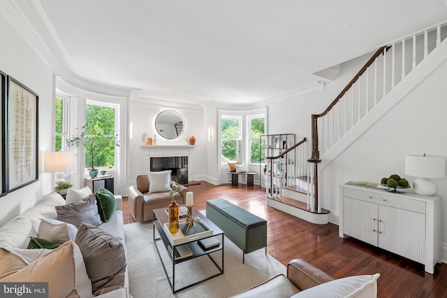 3 Devon Hill Rd Unit D4, Baltimore, MD 21210 - living area with stairway, crown molding, wood finished floors, and a glass covered fireplace