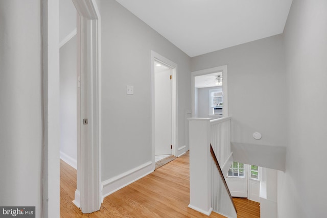 4441 Sherwood Rd, Philadelphia, PA 19131 - hall featuring an upstairs landing, healthy amount of natural light, and light wood-type flooring