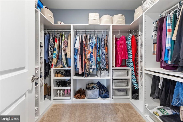 8051 Keystone Dr, Breinigsville, PA 18031 - view of spacious closet