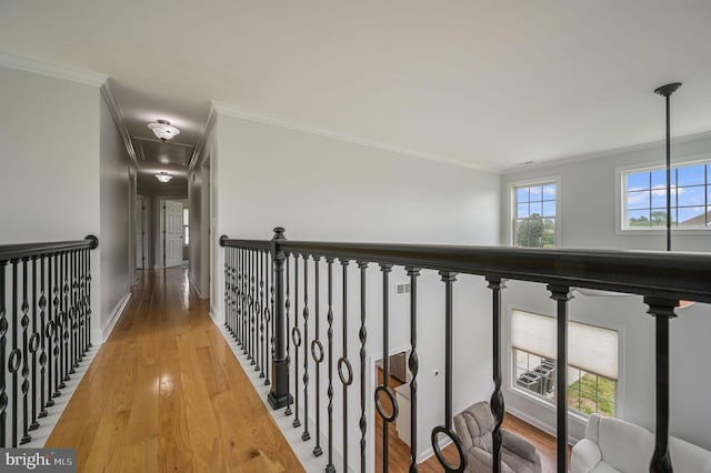 20 Doe Hill Ct, Camden Wyoming, DE 19934 - hall with crown molding, light wood-type flooring, and baseboards