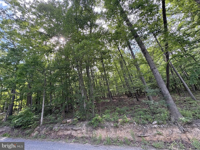 LOT1 Crow Dr, Winchester, VA 22602
