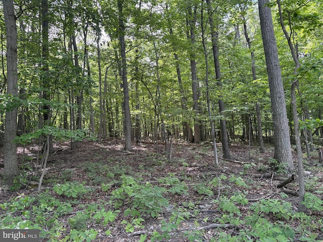 LOT1 Crow Dr, Winchester, VA 22602