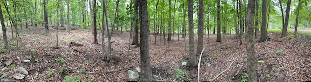 LOT1 Crow Dr, Winchester, VA 22602