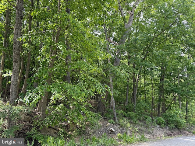 LOT1 Crow Dr, Winchester, VA 22602