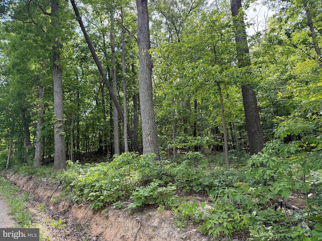 LOT1 Crow Dr, Winchester, VA 22602