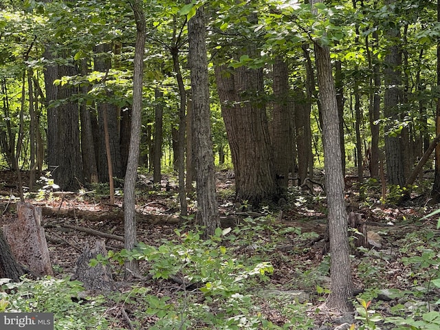 LOT1 Crow Dr, Winchester, VA 22602
