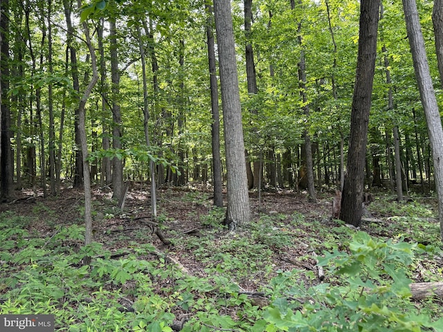 LOT1 Crow Dr, Winchester, VA 22602
