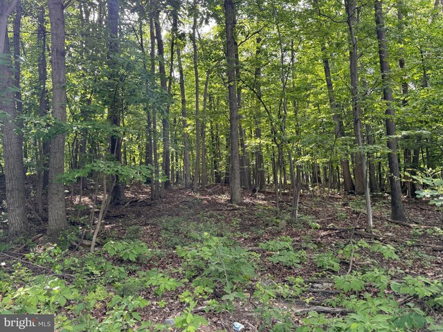 LOT1 Crow Dr, Winchester, VA 22602