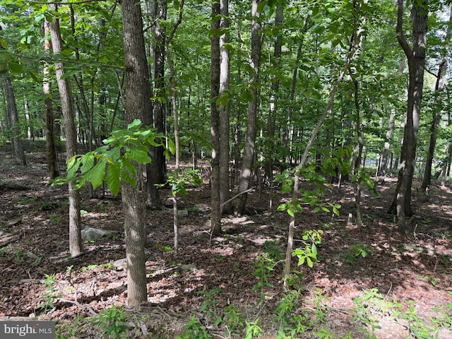 LOT1 Crow Dr, Winchester, VA 22602