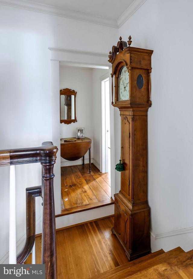 528 E Center Ave, Newtown, PA 18940 - corridor featuring hardwood / wood-style flooring and ornamental molding