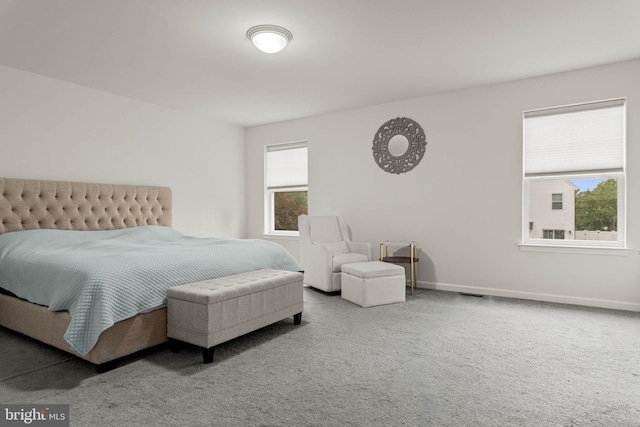 255 Summit Ave, Conshohocken, PA 19428 - bedroom featuring carpet flooring and baseboards