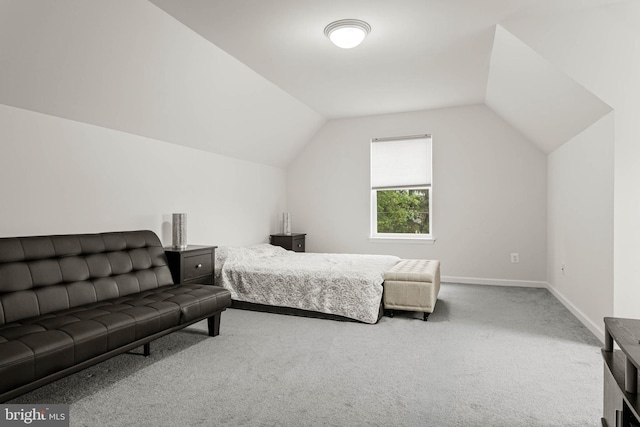 255 Summit Ave, Conshohocken, PA 19428 - carpeted bedroom featuring lofted ceiling and baseboards