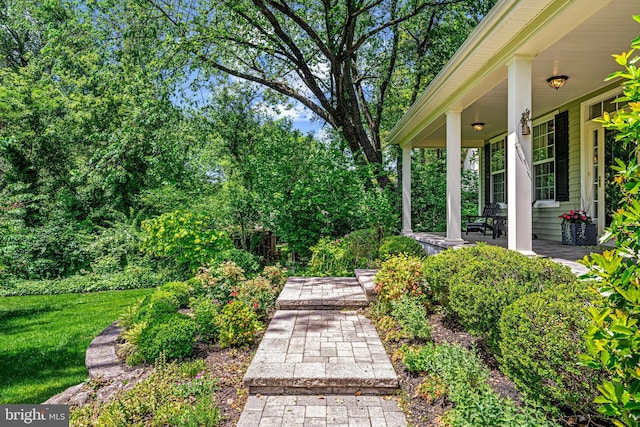 1165 Fulling Mill Ln, Haddon Heights, NJ 08035 - view of yard with a porch