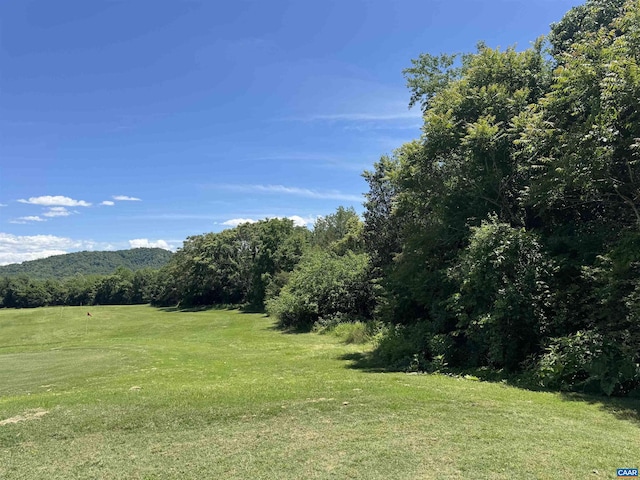 99 Blue Chickory Ct Unit B10, Nellysford, VA 22958