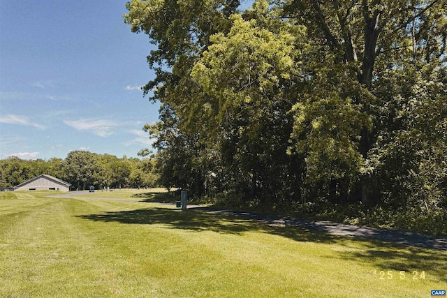 99 Blue Chickory Ct Unit B10, Nellysford, VA 22958
