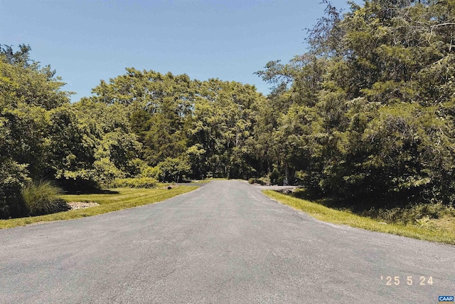 99 Blue Chickory Ct Unit B10, Nellysford, VA 22958