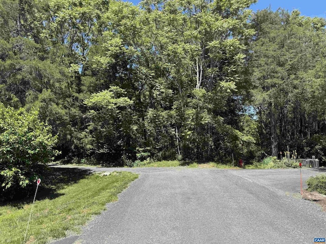99 Blue Chickory Ct Unit B10, Nellysford, VA 22958