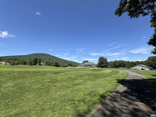 99 Blue Chickory Ct Unit B10, Nellysford, VA 22958