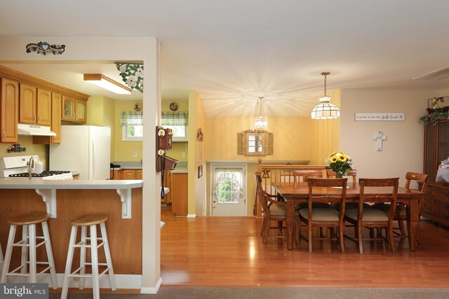 101 Chelsea Ave, Pine Beach, NJ 08741 - dining area featuring wood finished floors