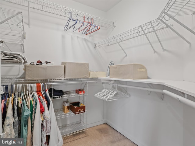 2642 Logan Wood Dr, Herndon, VA 20171 - walk in closet with carpet floors