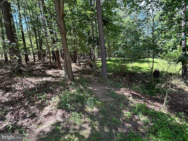 76 Red Burke Ct, Front Royal, VA 22630 - view of local wilderness